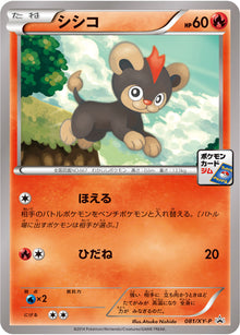 Litleo 081/XY-P [PR] [XY-P]