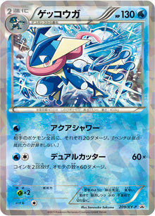 Greninja 209/XY-P [PR] [XY-P]