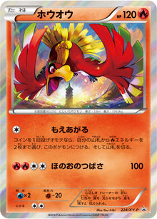 Ho-Oh 224/XY-P [PR] [XY-P]