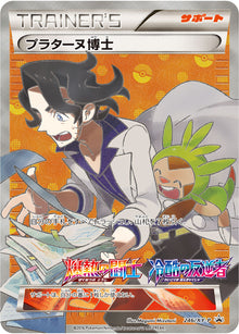 Professor Sycamore 246/XY-P [PR] [XY-P]