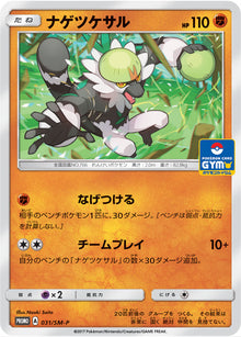 Passimian 031/SM-P [PR] [SM-P]
