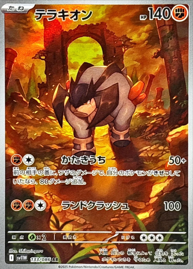 Terrakion 133/086 [AR] [SV11W]