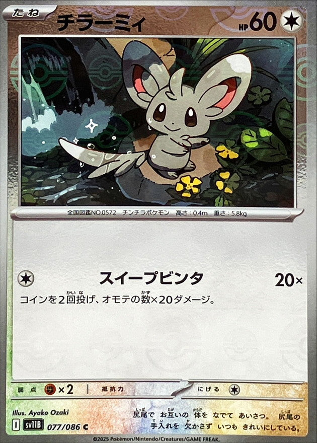 Minccino (Monster Ball Mirror) 077/086 [C] [SV11B]